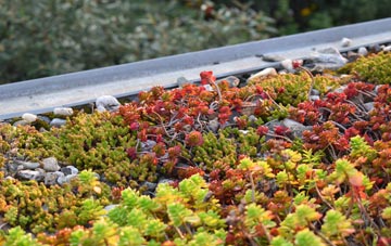 the cost of Motherwell green roof installation
