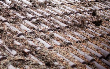 Motherwell roof cleaning companies